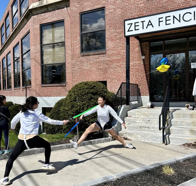 Zeta Fencing work photo