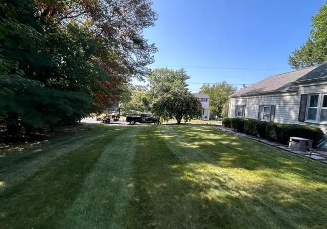 Bueller’s Landscaping LLC work photo
