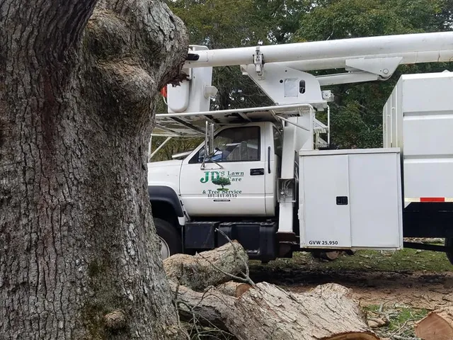 JD's Lawn and Tree work photo