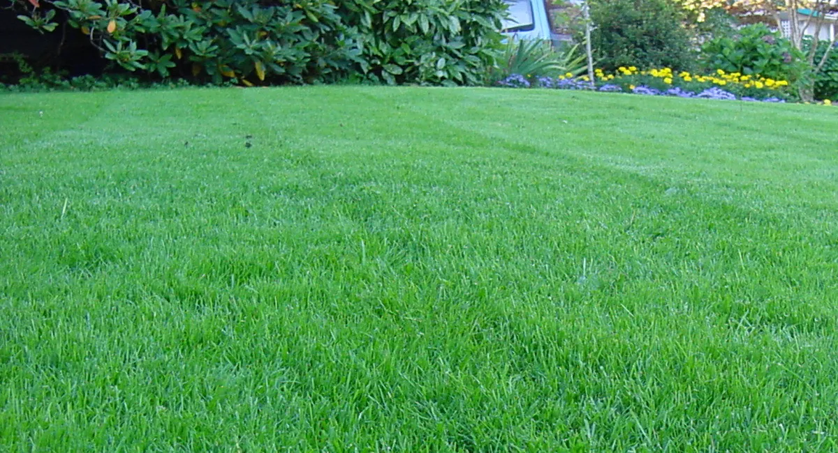 work photo from norwottucklawncare.com