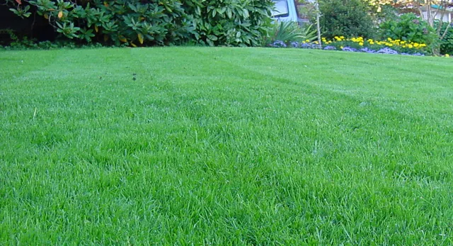 work photo from norwottucklawncare.com
