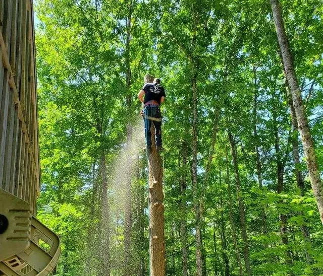 Smith Family Tree Service work photo