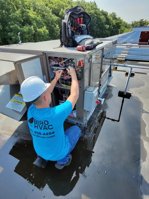 Bird HVAC work photo