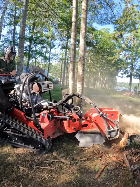 Ground Up Stump Co work photo