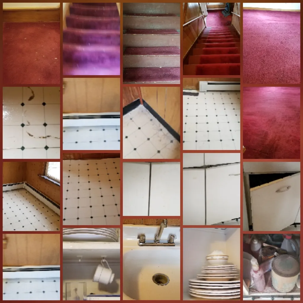 Office & Home Cleaning