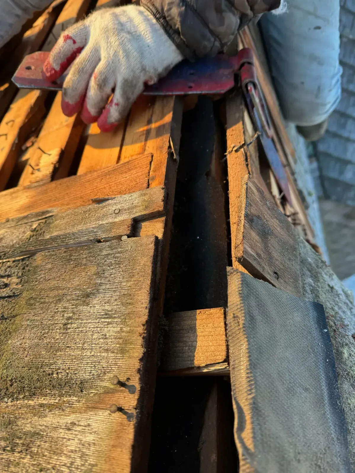 Gloved hand using a knife to pry up roof material. Wood framing is visible.