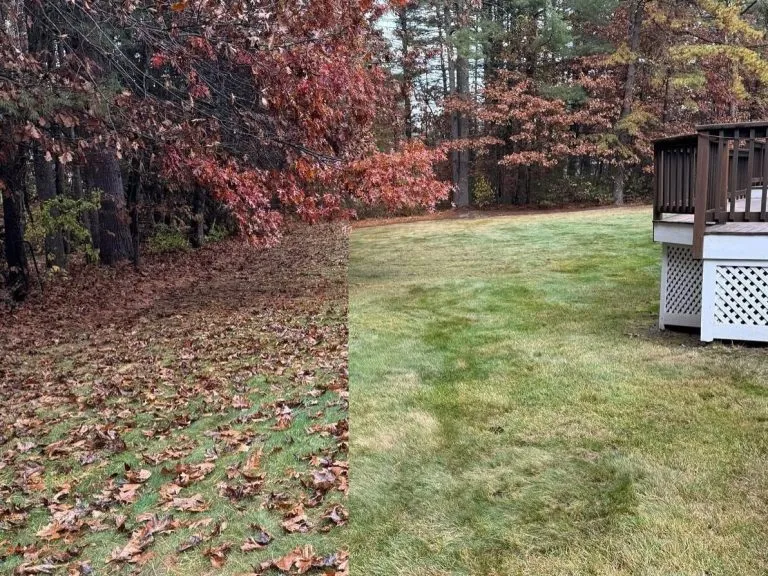work photo from beniciolandscaping.com