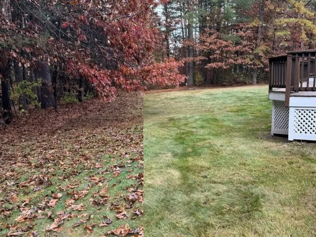 work photo from beniciolandscaping.com