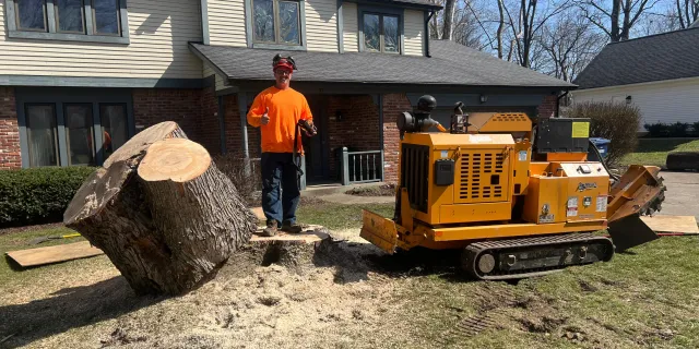 work photo from faithtreeservices.com