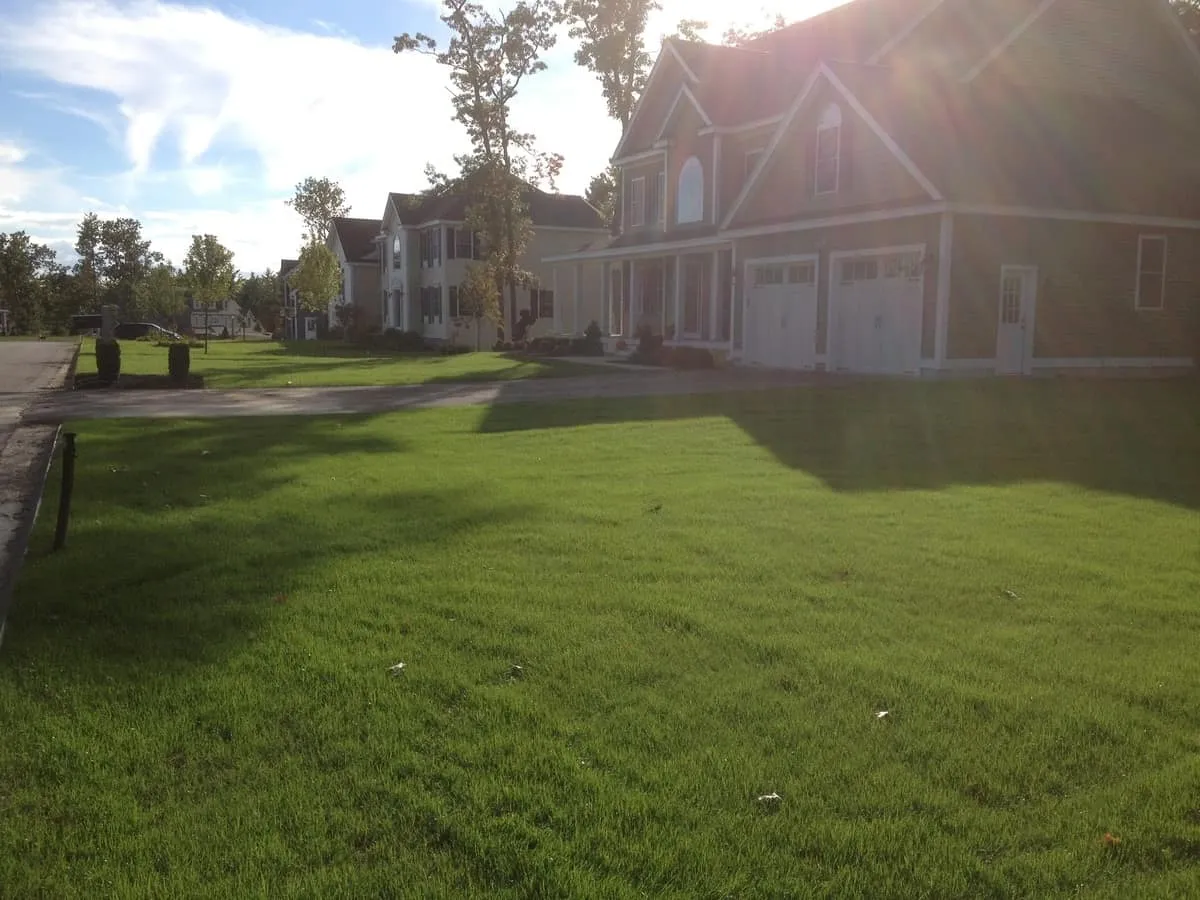 work photo from randalllandscaping.com