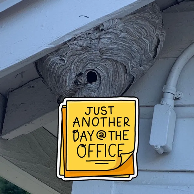 Evolve Pest Control LLC