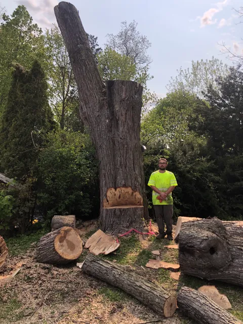 Flores Farm Tree Service work photo