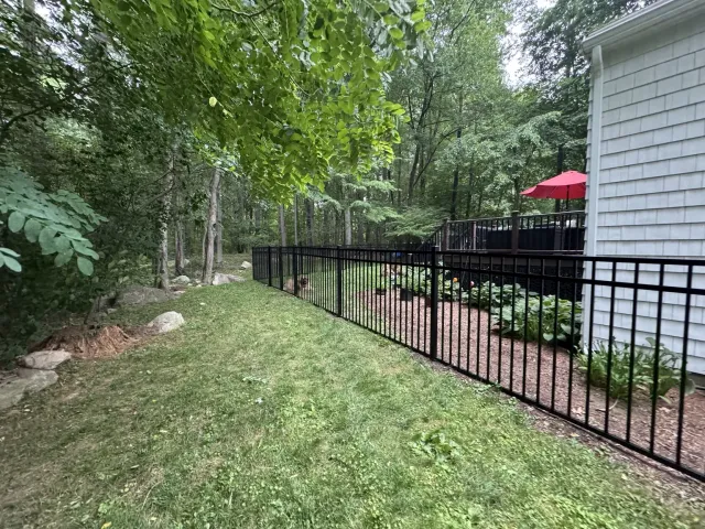 Black aluminum fence enclosing a wooded backyard