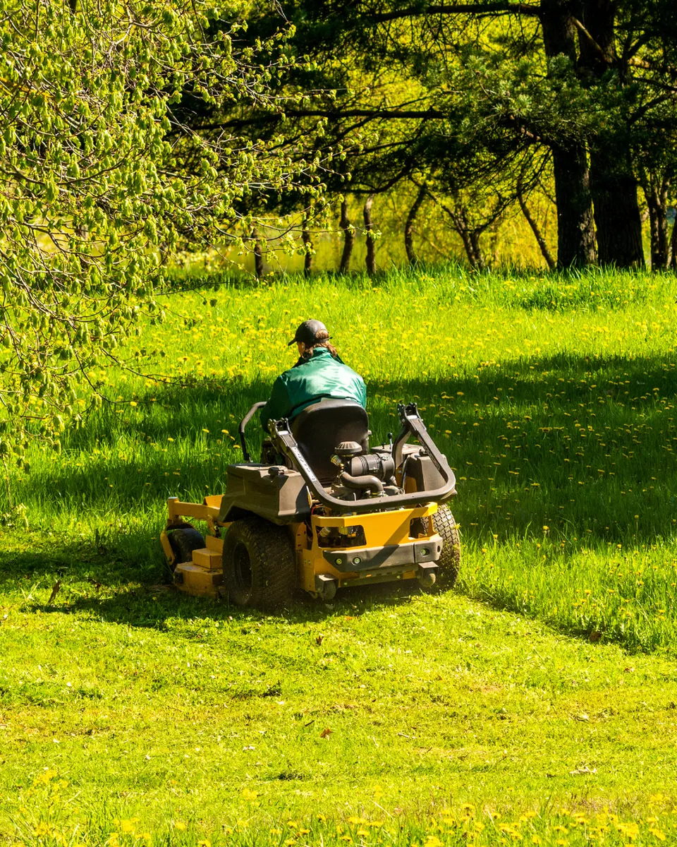 Professional riding mower maintaining large grass areas under mature trees in park setting