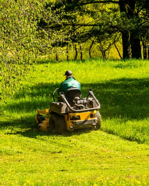 Professional riding mower maintaining large grass areas under mature trees in park setting