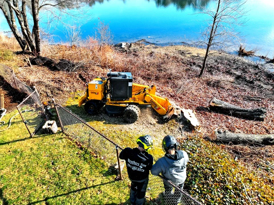 work photo from brotherstreeremoval.com