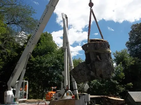 work photo from elliotttreeandlandscaping.com