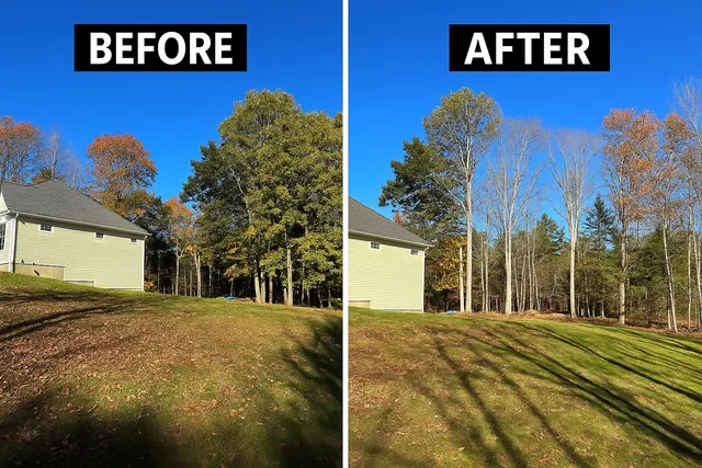 Chartier's Tree Service work photo