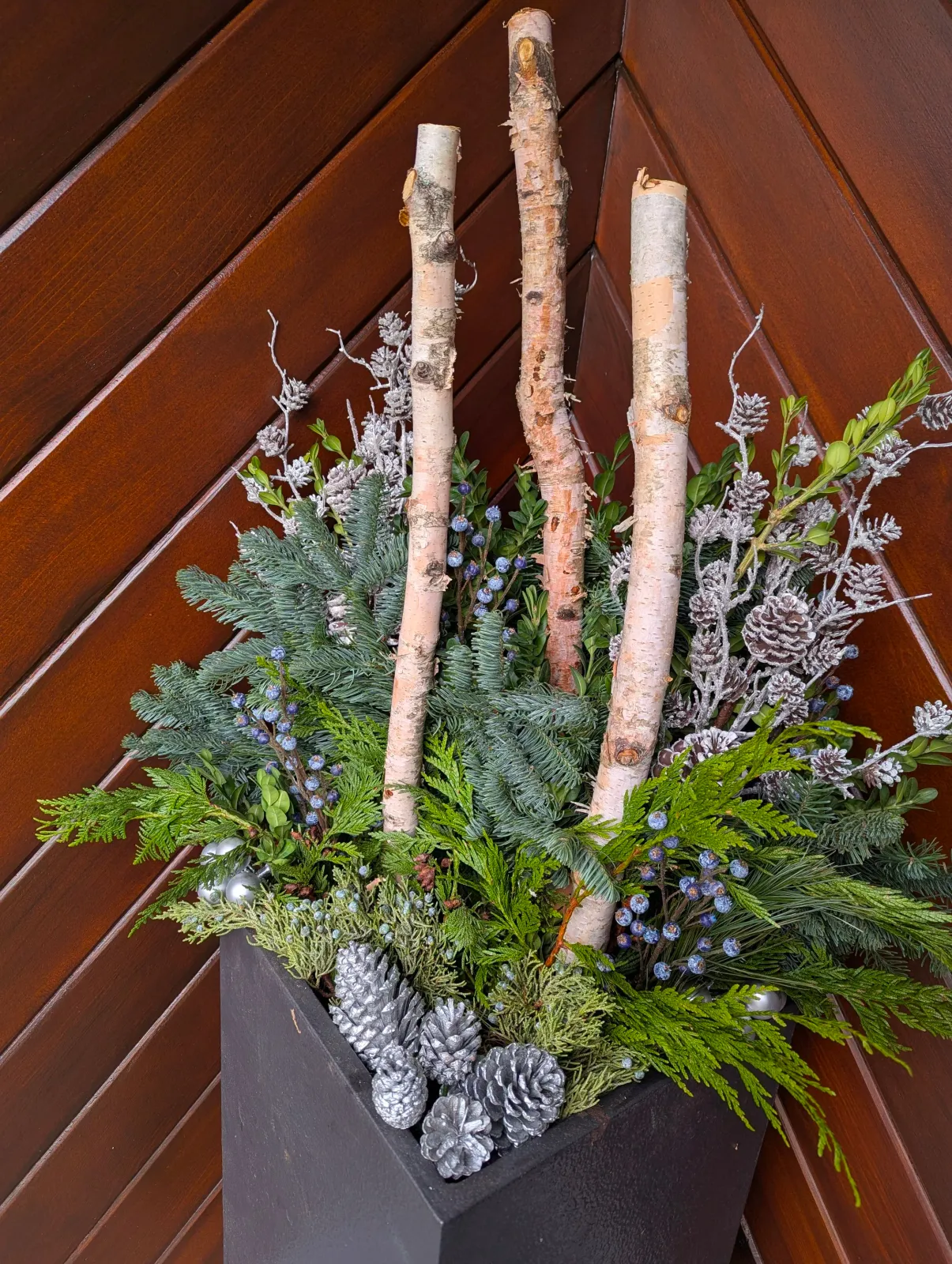 A holiday winter arrangement in a planter pot or container, filled with evergreen branches, pine, spruce, birch branches, pinecones, and juniper berries. A festive arrangement for Christmas or Hannukah.