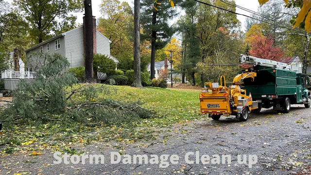 work photo from kevinslawnmowing.com