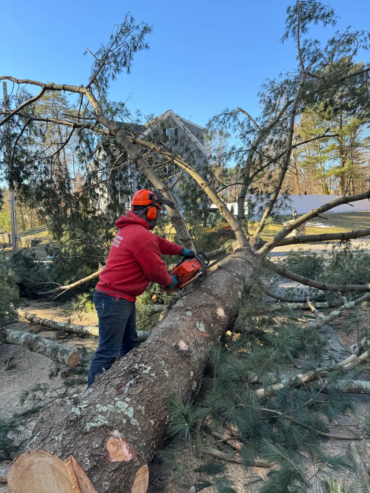 work photo from Google listing