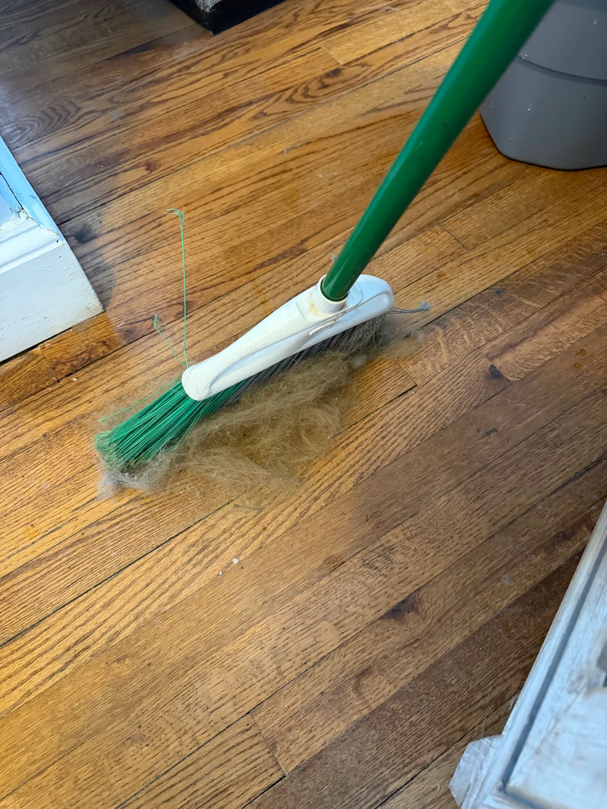 Sandra’s House Cleaning Services LLC