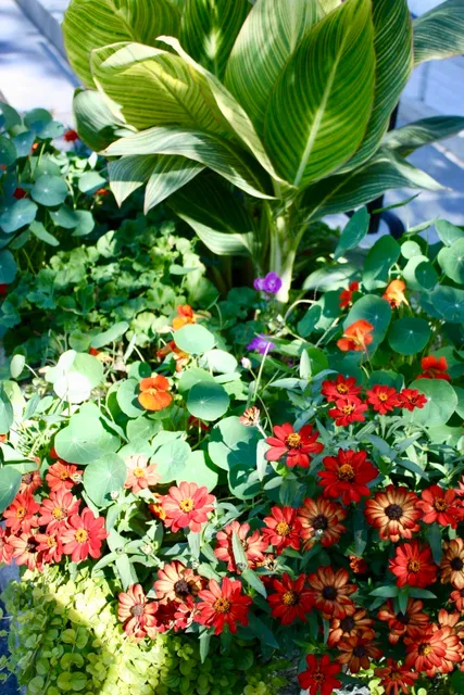 work photo from gardenroomslandscapedesign.com
