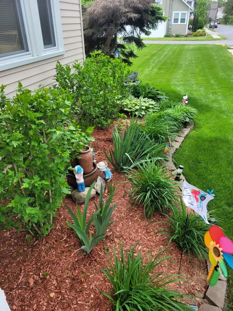 LEO LAWN CARE Corp