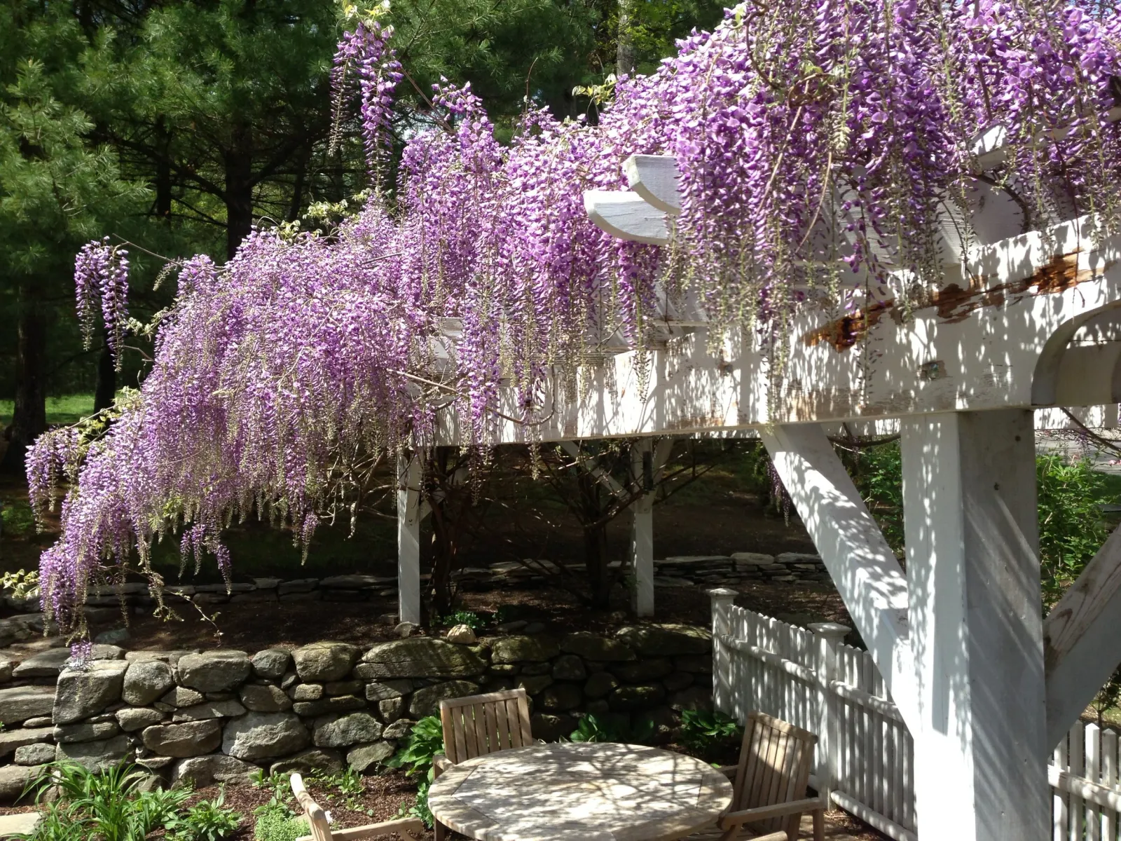 Pergolas help define an outdoor living area and, with the addition of climbing plants, can offer shade on hot summer days.