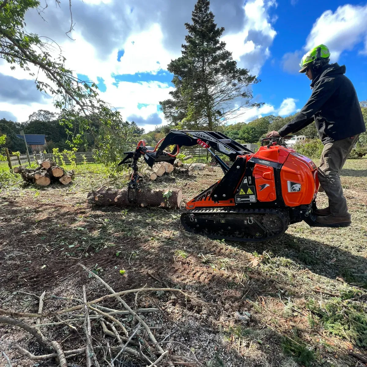 work photo from dovercountrytrees.com
