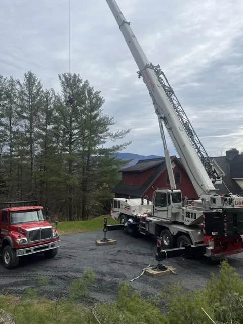 Iconic Tree Care work photo