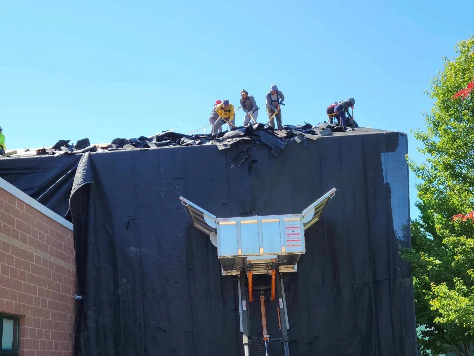 work photo from Google listing