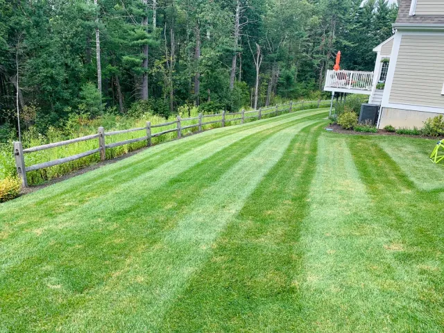 work photo from juniorlandscapingbedford.com