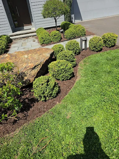 Review photo by sade washington