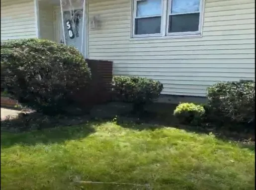Hedge and Shrub Trimming