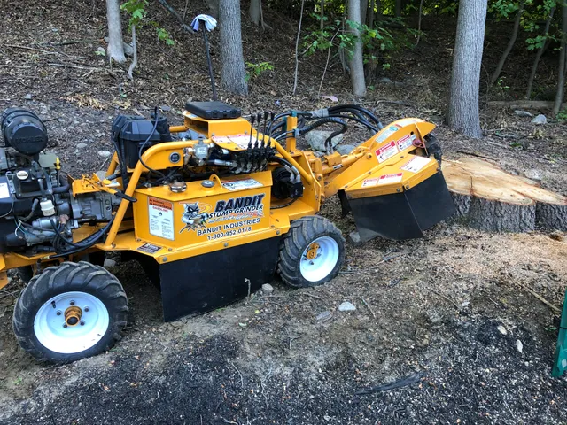 Willpower Stump Grinding work photo