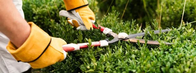 work photo from cjlandscapingllc.com