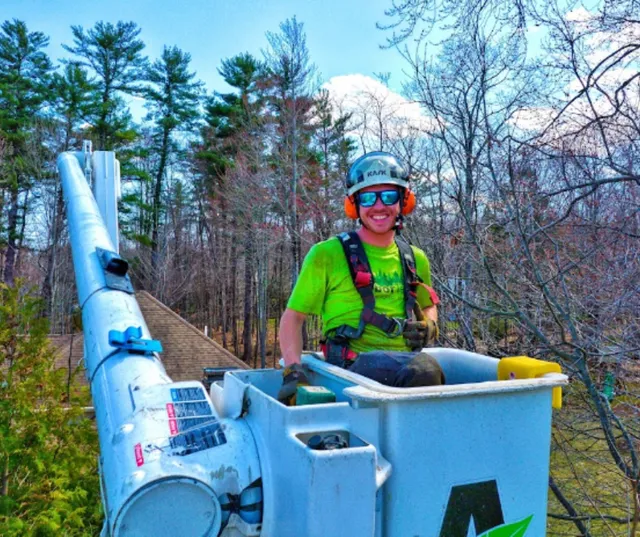 Tree Pruning Service