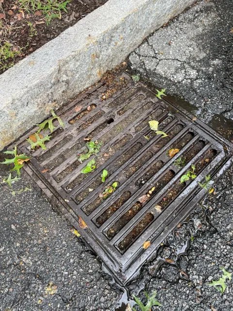 A manhole cover is sitting on the side of the road next to a curb.