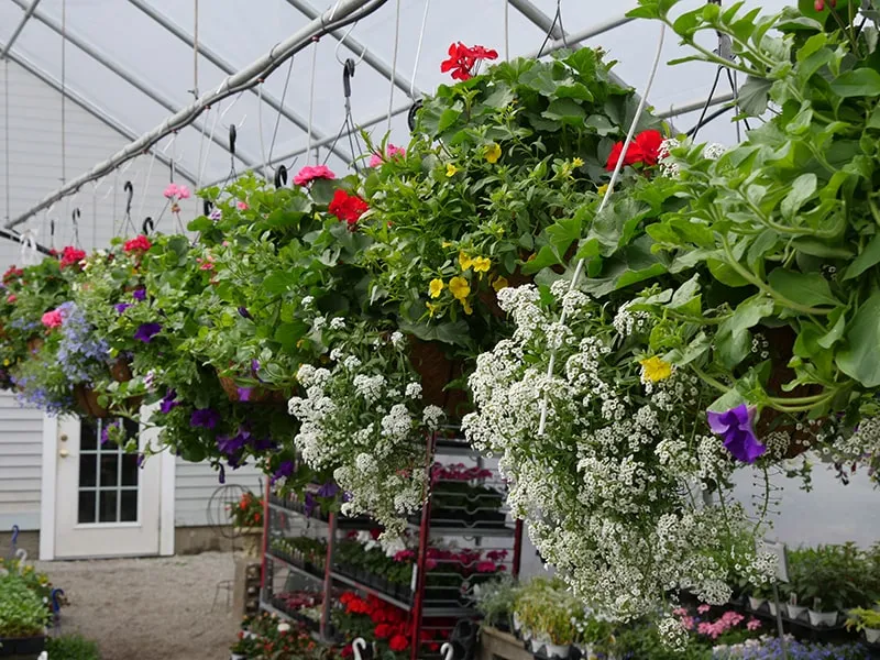 work photo from echobrooknursery.com