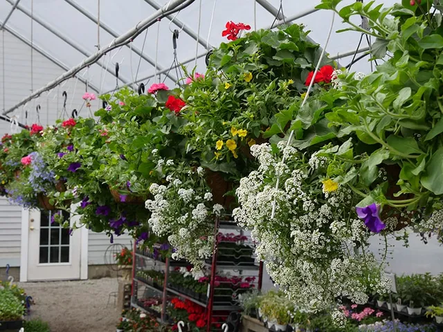 work photo from echobrooknursery.com