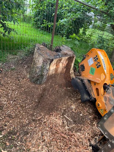 Jill’s Stump Grinding work photo