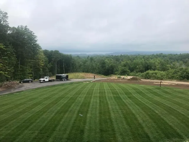 Fresh Mowed Lawn