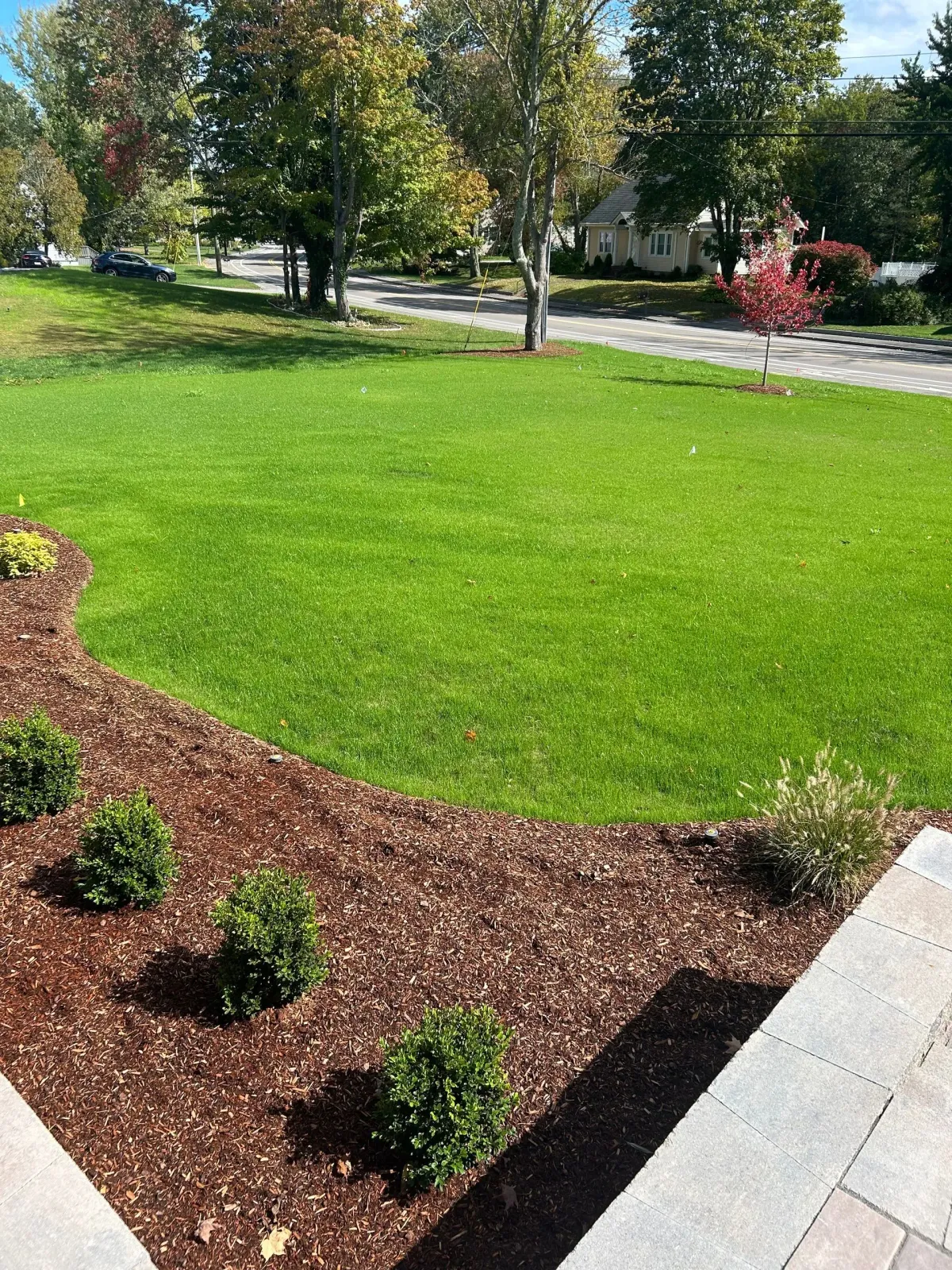 Landscaped lawn with green grass, mulched flower beds, small shrubs, and trees along a paved path