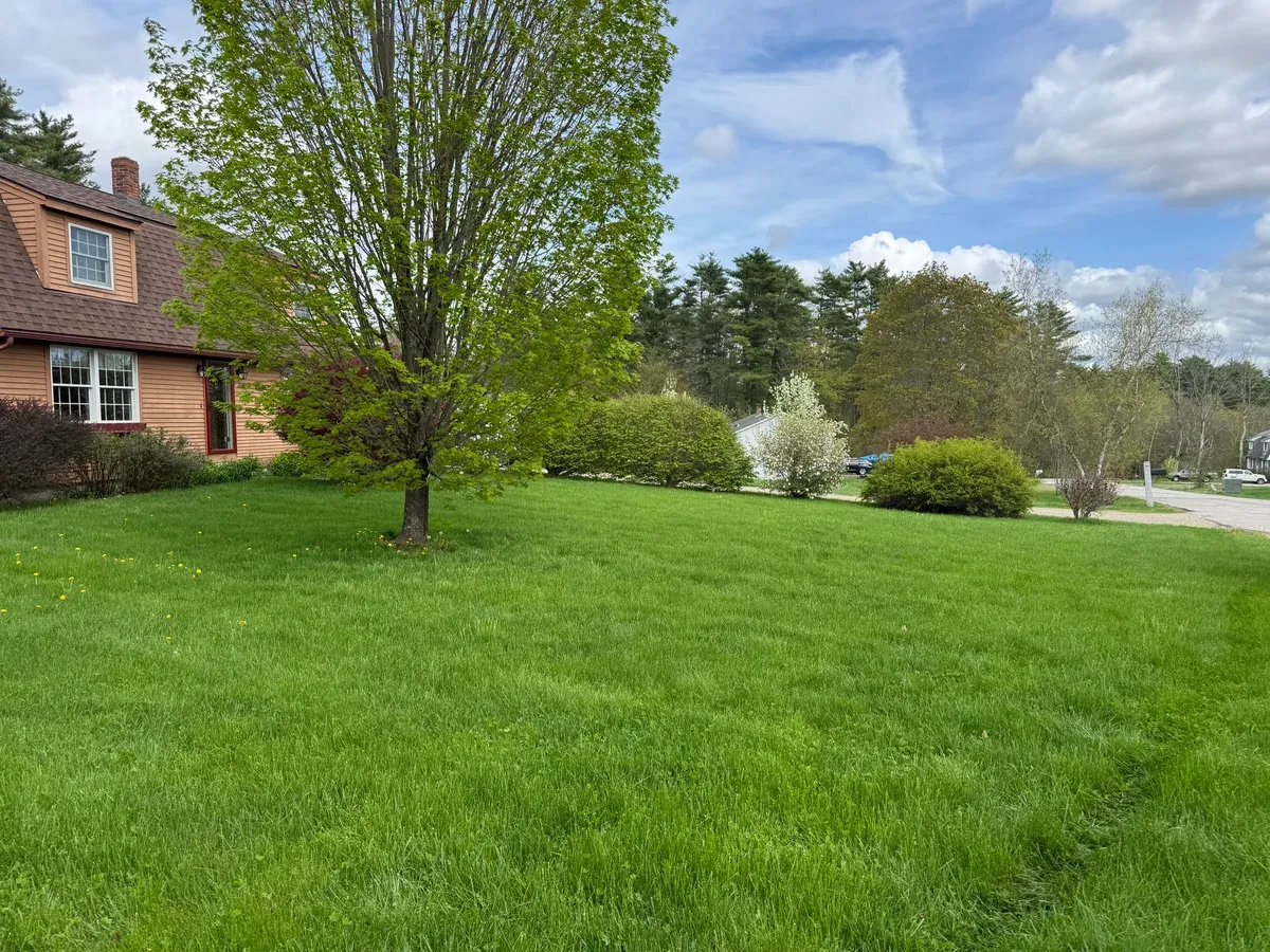 Family-safe organic lawn with playground