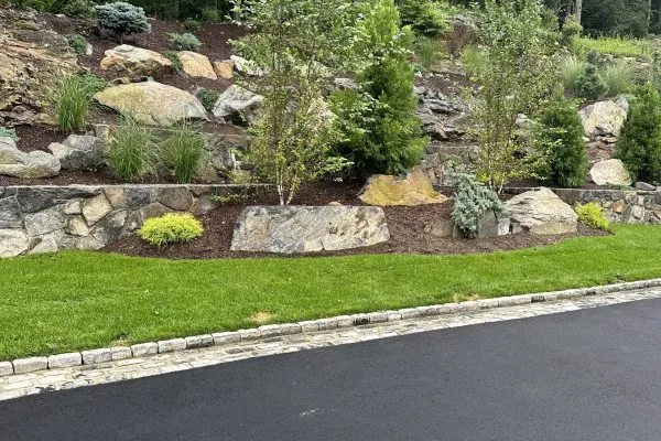 Natural boulders, stone wall and new plantings