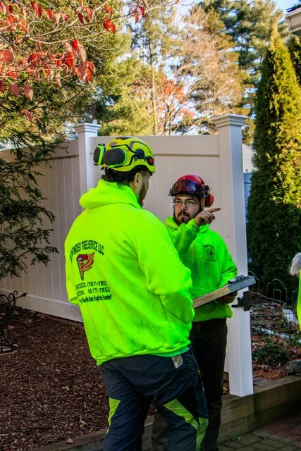 work photo from pathfindertreeservice.com