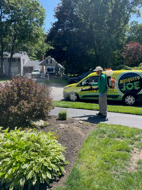 Mosquito Joe of Andover-Peabody work photo