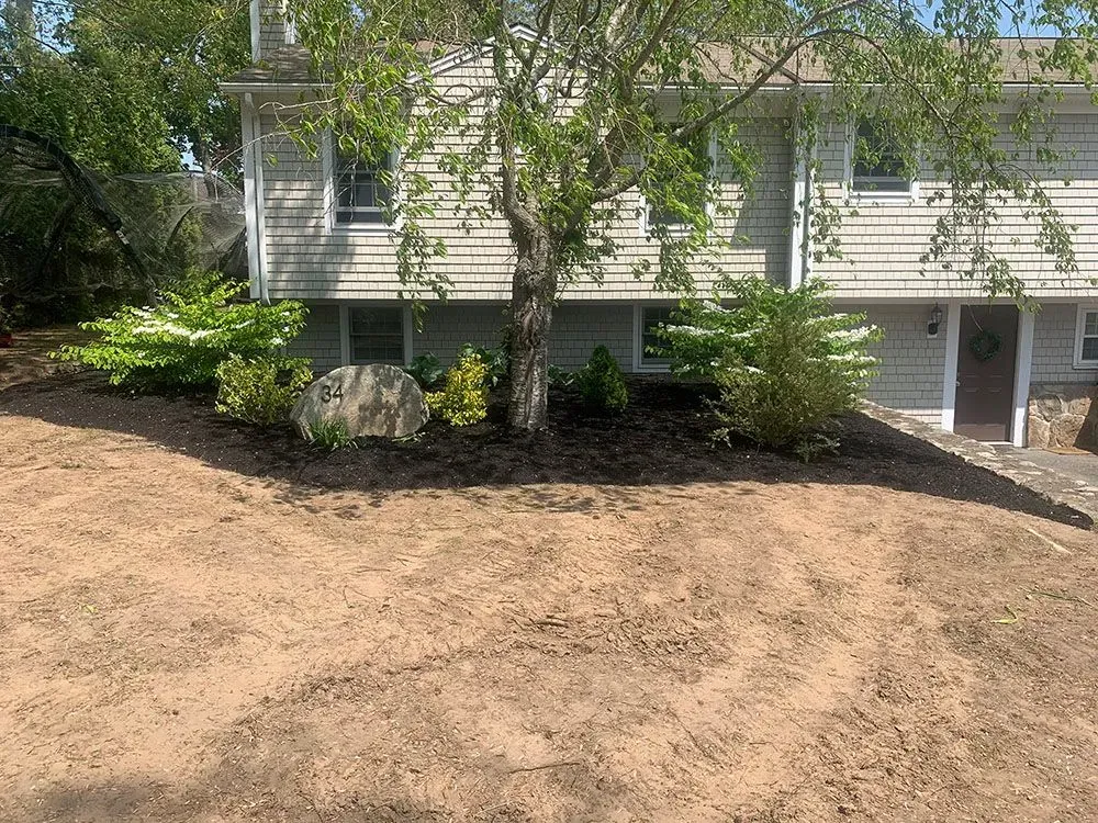 House with trees.