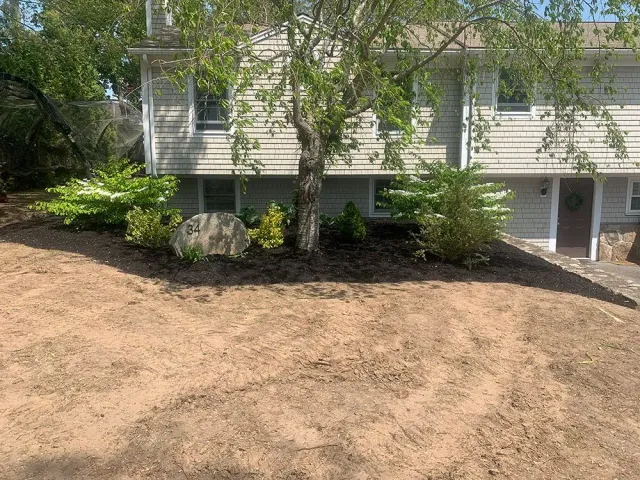 House with trees.